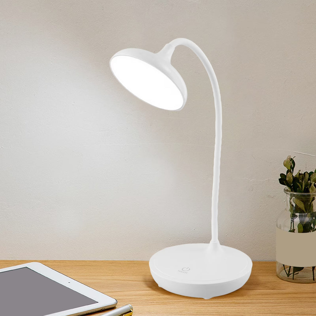 Portable LED Desk Lamp